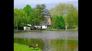 Welten met zijn watermolen en vijver.