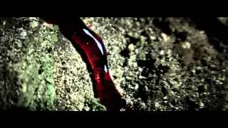 Red Warlock - Awakening OFFICIAL VIDEO (HD) 2010