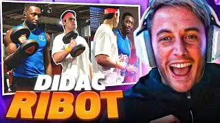 LO MEJOR DE DIDAC RIBOT
