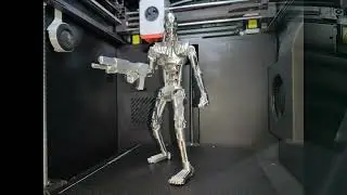 T 800