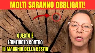 La luce di Maria rivela: la Vergine Maria spiega la protezione divina contro il marchio della bestia