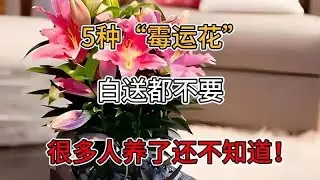 五種被視為不吉利的植物，免費贈送也別收，許多人栽種卻渾然不知！