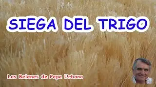 La siega del trigo