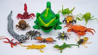 [🐰toy asmr🐰] Remote Controlled Gaint Chameleon & Big Robo Insect Set Playset ASMR 🕸 Review Toys