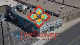 Inside Fireflower: A Behind-the-Scenes Look at Premium Craft Cultivation 🌿