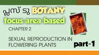 Plus two botany focus area based chapter-2 Sexual reproduction in flowering plants|part-1