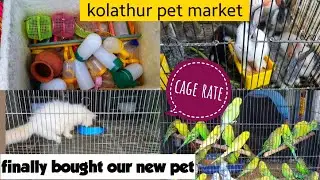 Kolathur fish market | Birds and cages with price | Kolathur pet shop |cheap pets and fishes chennai