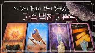 [타로🔮] 💕이 달안에 일어날 기쁜일🦋