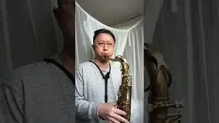 Stars Fell on Alabama Ballad Melodic Practice Jazz Standard Tenor Saxophone 陳冠元薩克斯風
