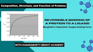 Reversible Binding of a Protein to a Ligand II Myoglobin's Hyperbolic Oxygen-binding Curve