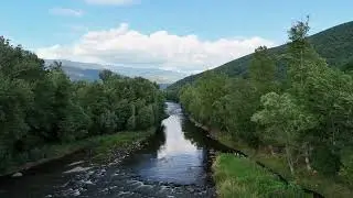 Cerca de Arfa, río Segre 27/07/25. Ribera d'Urgellet.