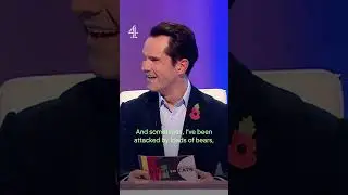 Sean Lock&rsquo;s solid advice for how to survive a bear attack 😂 | 8 Out of 10 Cats