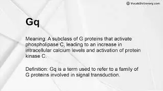 Gq Meaning