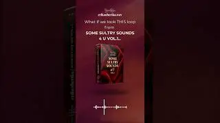 R&B loop + random beat = instant vibe. ✨ #rnbproducers #vocalloops #samplepack  #musicproducers