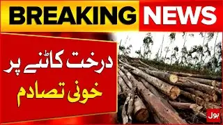 Blo*dy Clash Over Tree Felling | Clash On Cutting Tree | Breaking News