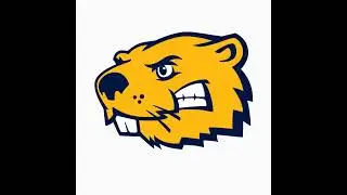 Buena Vista Gold vs Southeast Missouri State | ECAC Overwatch
