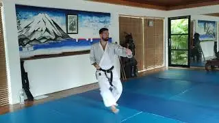 1 kata Ta&iuml; Jitsu Do