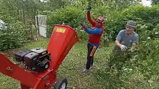 Drobilica za granje Hecht 6642 😈😈😈  #shortvideo#shortfeed#shorts#short  #funny#viral