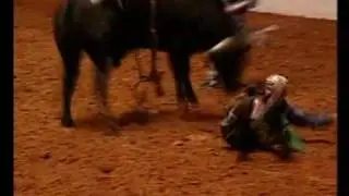 Bulls Night Out - 8 Seconds to Glory