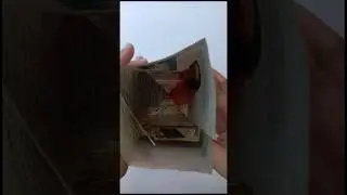 Make ECO-FRIENDLY Gift Bags in Minutes from Old Newspapers
