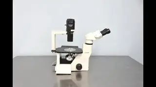 Labomed Microscope Video ID 20274