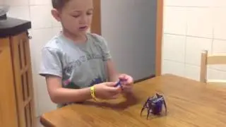 Nano bug review