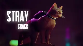 STRAY CRACK / STRAY FOR FREE FULL VERSION / FREE DOWNLOAD