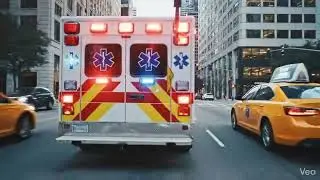 korea ems ai