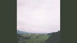 田