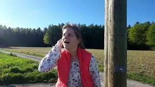 Je te cherche (démo)