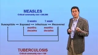 SEIR model of epidemic dynamics - John McKinney (EPFL)