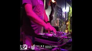 Randy Derricott @ Tribe Tea Lounge (2025.08.23) (Audio Only)