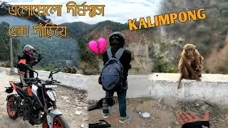 Kalimpong Bike Ride 😱 | Ktm Duke | মিষ্টি মুখ আর অদ্ভুত দুষ্টুমি এদের চেয়ে কিউট আর কী হতে পারে 