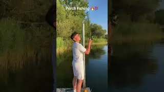Barsch angeln im Sommer 💯🔥#fishing #fish #natur #barsch #foryou #barschangeln #zecken