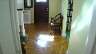 1011 Wilde Avenue Drexel Hill PA 19026