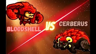 KR MOD DEATHMATCH: WHO WILL WIN? - BLOODSHELL VS CERBERUS