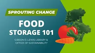 Food Storage 101