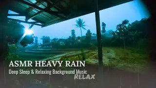 ASMR HEAVY RAIN Soothing for Sleeping and Relaxing l Rural Natural Atmosphere l Background Music