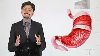 Biology- Fsc Part 1 Chapter 1 Organ Level- Biology