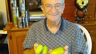 Pawpaw Hunting 2020!