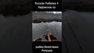 Русская Рыбалка 4 Ладожское оз  Рыбец Белоглазка Ряпушка #Ладожское #рр4 #рыбец 26 06 23