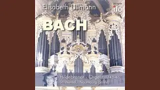 Orgelsonate No. 3 in D Minor, BWV 527: I. Andante