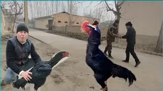 ДАКАН ИШКИБОЗЛАРИ УЧУН МАХСУС ВИДЕО НАМАНГАН ТУРАКУРГОНДА 7 КГ ТОЗА ЗОТЛАР