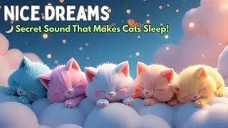 Peaceful Piano Music for Cats to Help Reduce Anxiety and Sleep Better