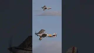 The Fighter Collection&rsquo;s Hawker Nimrod Mk.I