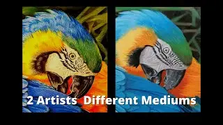 Realistic drawing and painting collaboration| parrot #ThurmanArt