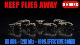 🔊 SOUND TO REPEL FLIES 🚫🪰 | 100% EFFECTIVE ULTRASONIC REPELLENT
