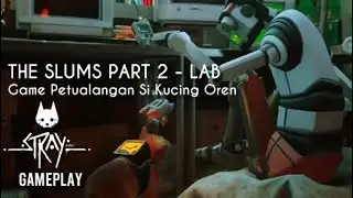 STRAY Secretlab , Stray the slums part 2, Stray secret lab digicode, Stray secret lab, #STRAY