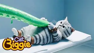 Biggie's Alien Nightmare🛸 #CatBiggie #EP29