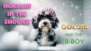 Norman in the Shower